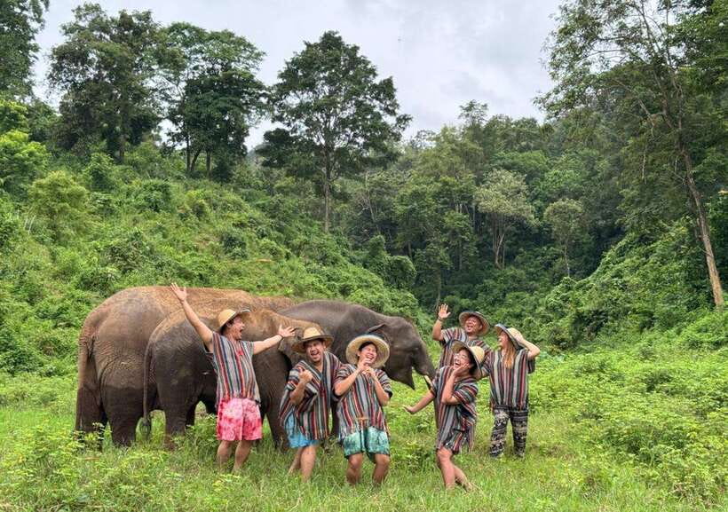 Chiang Mai | TeeTee Elephant Home Elephant Care Half-Day - Feeding fruit and making vitamin balls