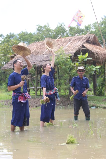 Chiang Mai: Thai Buffalo and Rice Planting Experience - How this compares with a typical Chiang Mai cultural outing
