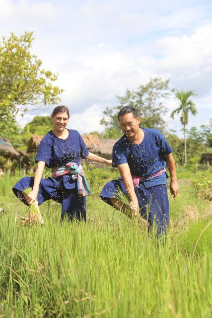 Chiang Mai: Thai Buffalo and Rice Planting Experience - Why this farm visit feels different from a standard Chiang Mai tour