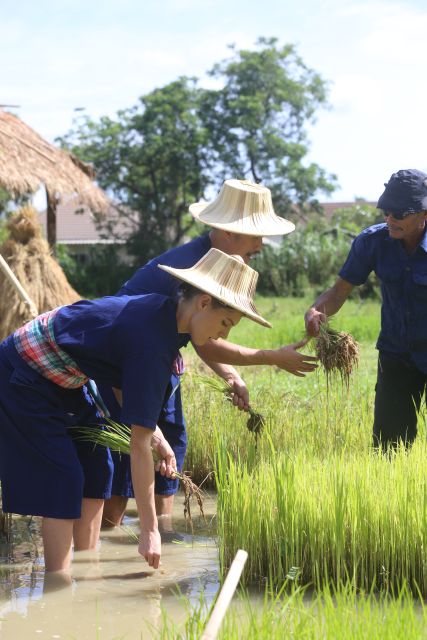Chiang Mai: Thai Buffalo and Rice Planting Experience - Best advice for families and first-time farm visitors