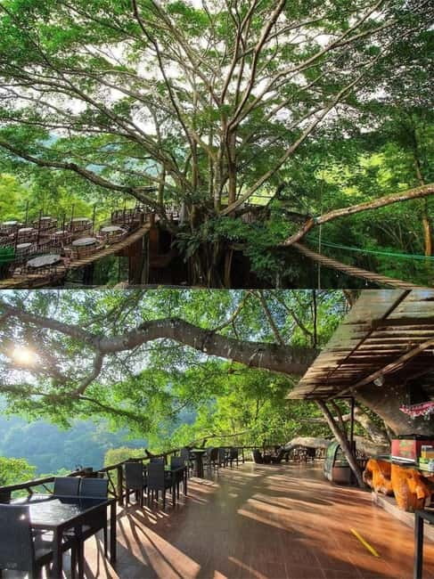 Chiang Mai: The Giant Café & Mae Kampong Village Day Trip - Key points to know before booking