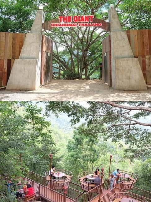 Chiang Mai: The Giant Café & Mae Kampong Village Day Trip - The Giant Chiangmai, a treetop finish
