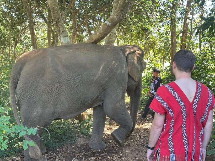 Chiang Mai Untouched Elephant: Nature Walk & Waterfall Trek - Meeting the mahouts and preparing elephant food