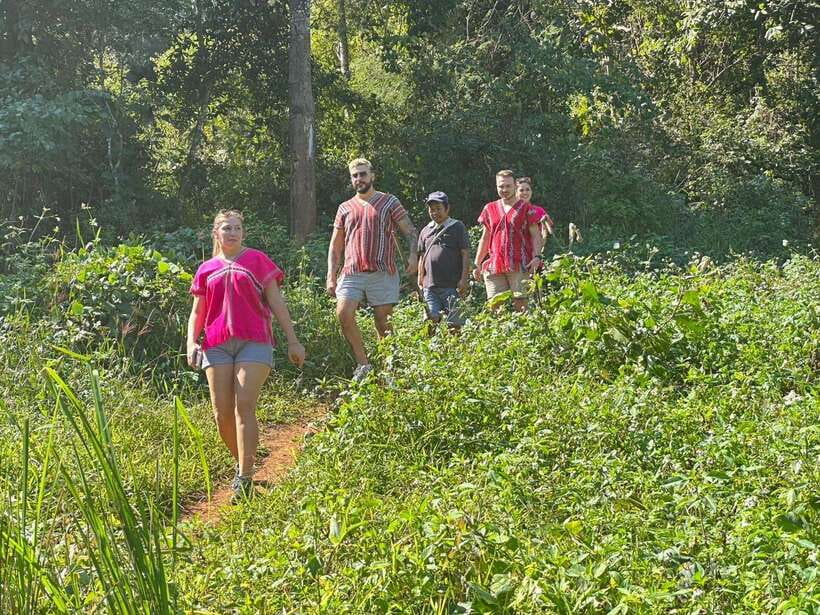 Chiang Mai Untouched Elephant: Nature Walk & Waterfall Trek - The mud spa and river bath