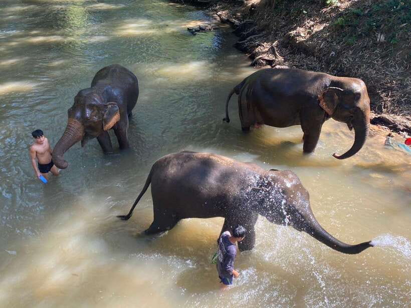 Chiang Mai Untouched Elephant: Nature Walk & Waterfall Trek - The mountain road from Chiang Mai