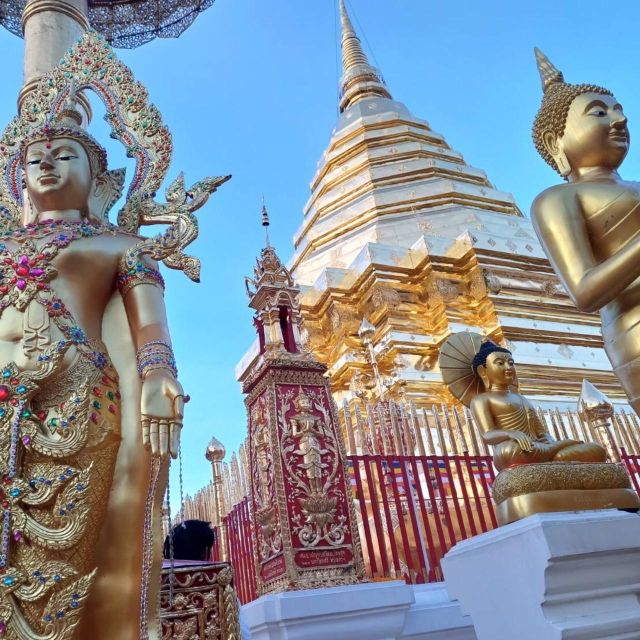 Chiang Mai: Wat Pha Lat & Wat Phra That Doi Suthep Tour - What the guides add to the visit