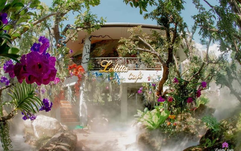 Chiang Mai: White and Blue Temples and Lalita Cafe - Lalita Cafe, gardens, and waterfalls