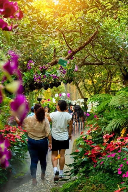 Chiang Rai: Excursion White, Blue,Red Temples & Lalitta Café - A Thai buffet gives you fuel for the afternoon