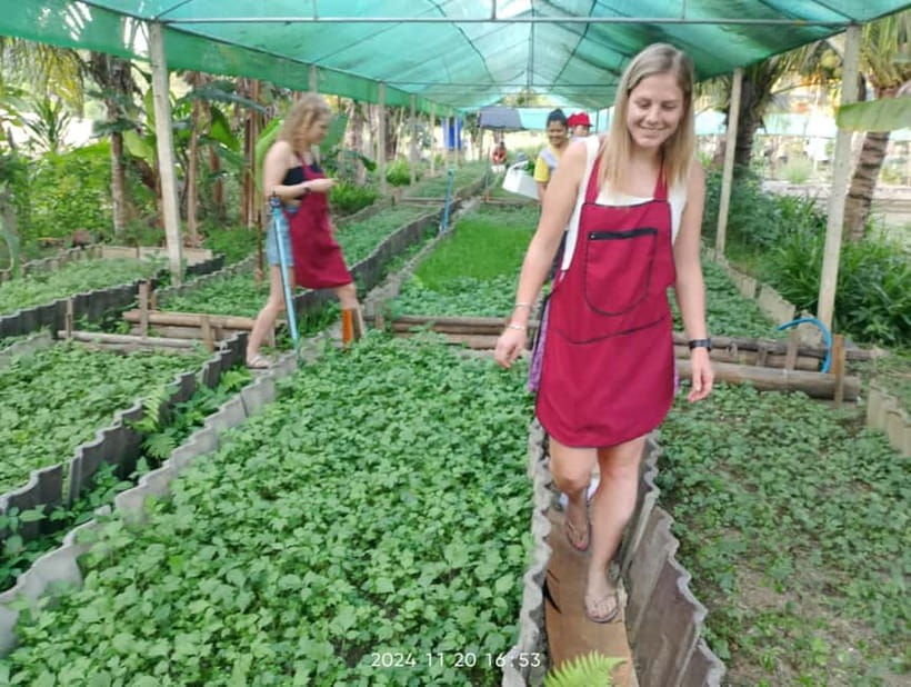 Chiang Rai:Lanna Home Cooking Class at Give Green Farm House - Who should book this class