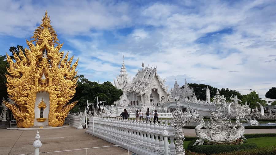 Chiang Rai Must-See Tour – 7 Icons, Lunch & Small Group(9pp) - Choui Fong Tea Plantation: views and a cooler change of pace
