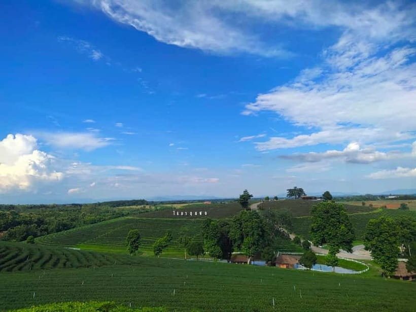 Chiang Rai: Northern Thailand Tour with Golden Triangle - The guides make the long day work
