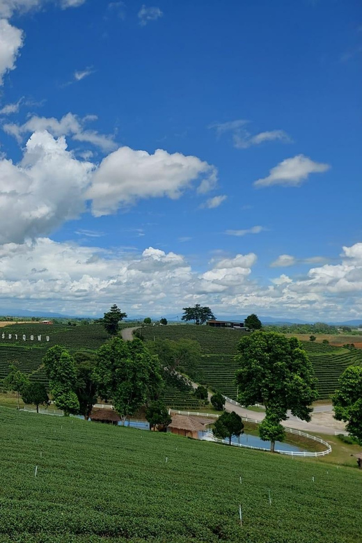 Chiang Rai: Top Temples & Signature Attractions ~Free Buffet - Key points to know before booking