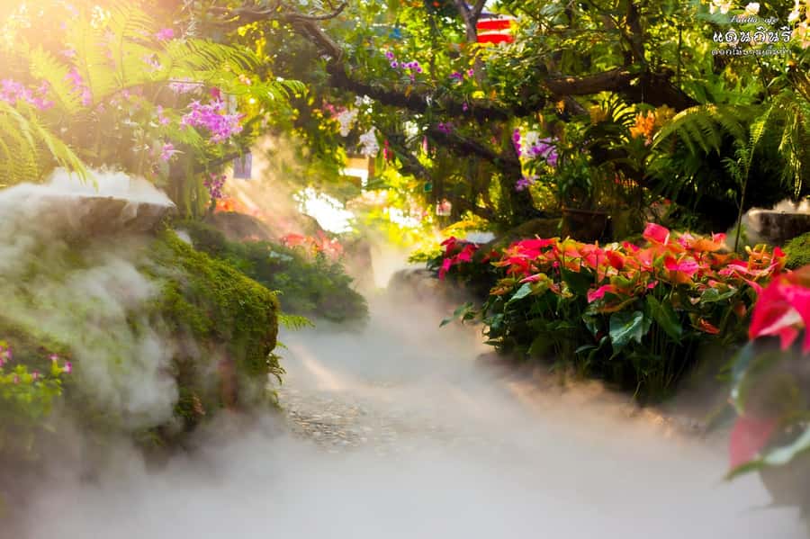 Chiangmai to Chiangrai: 3 Temples, Hot Springs& Lalitta Cafe - Wat Huay Pla Kang, the optional Red Temple