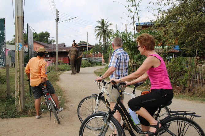 Colors of Ayutthaya Full-Day Bike Tour - The Historical Park and the living city around it