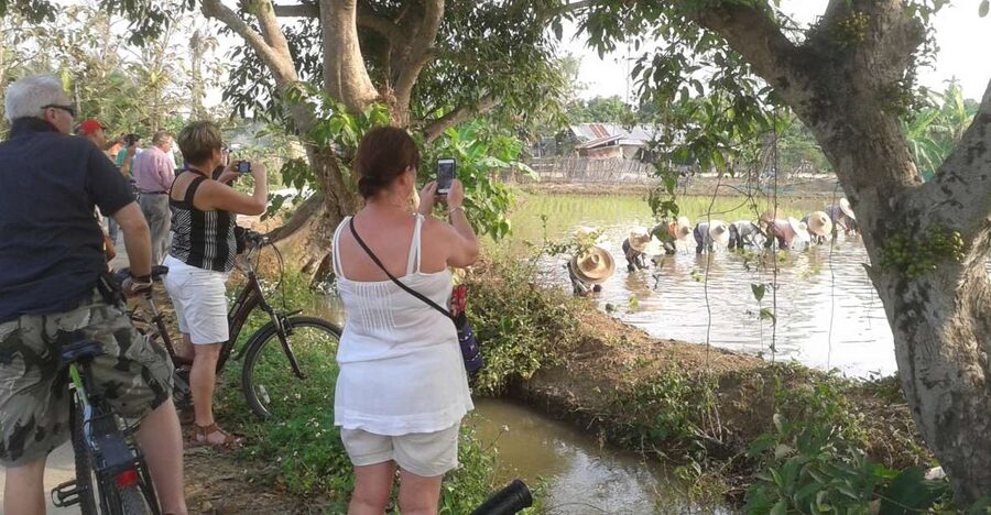 Colors of Chiang Mai Guided Bicycle Tour - Why this bicycle tour gets beyond central Chiang Mai
