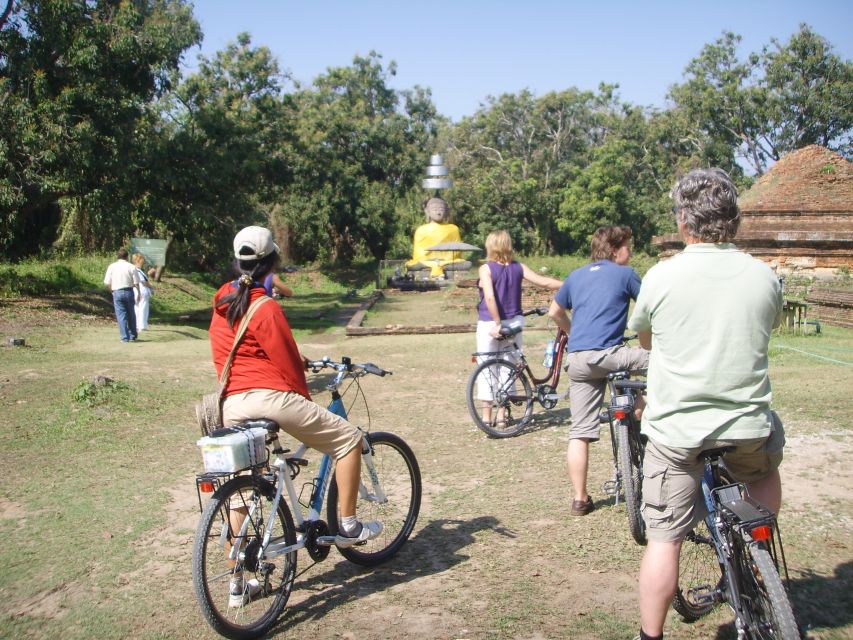 Colors of Chiang Mai Guided Bicycle Tour - Rice fields, orchards, and a local market stop