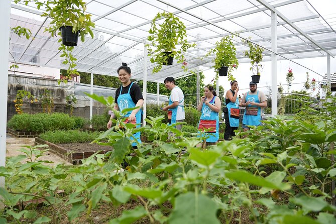 Cooking Class with Organic Farm in Chiang Mai at Mama Noi - Your personal cooking station keeps the class hands-on
