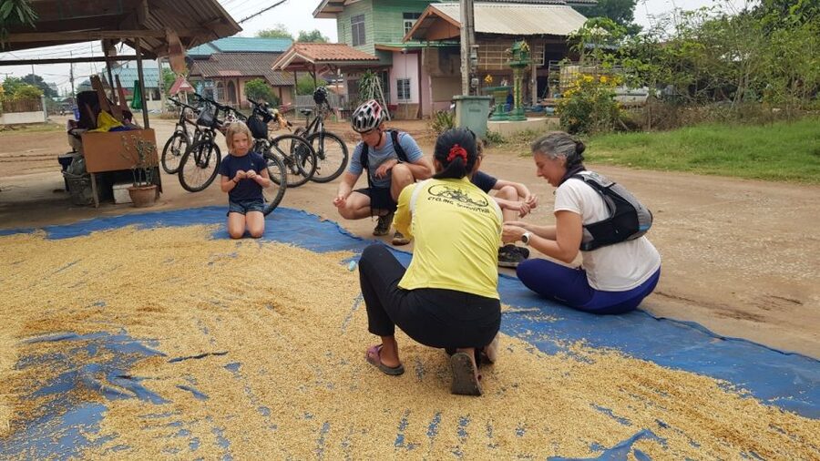 Cycling Sukhothai Full Day Countryside Tour - Canals, rice paddies, and village life
