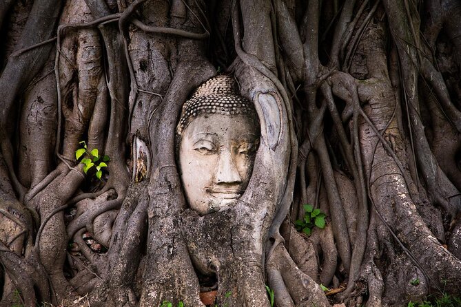 Damnoen Saduak Floating Market & Ayutthaya Tour from Bangkok - Damnoen Saduak by long-tail boat