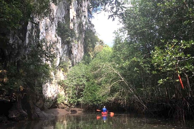 Deep Mangrove and Canyon Kayak Tour in Krabi - The first crossing is the workout