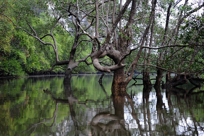 Deep Mangrove and Canyon Kayak Tour in Krabi - Limestone cliffs, lagoons, and the jungle canyon