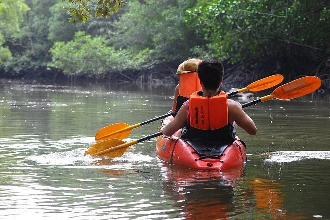 Deep Mangrove and Canyon Kayak Tour in Krabi - The deep mangrove is the real centerpiece