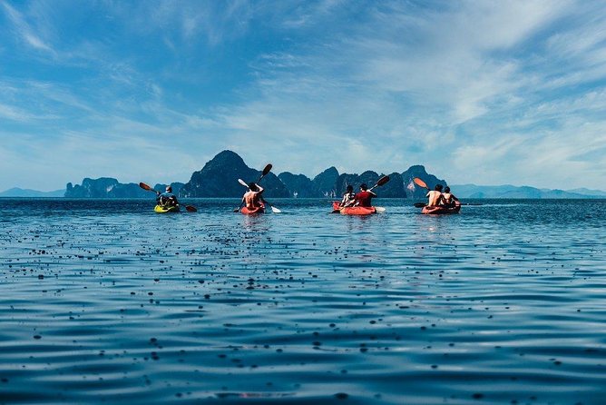 Deep Mangrove and Canyon Kayak Tour in Krabi - Who should book this morning on the water
