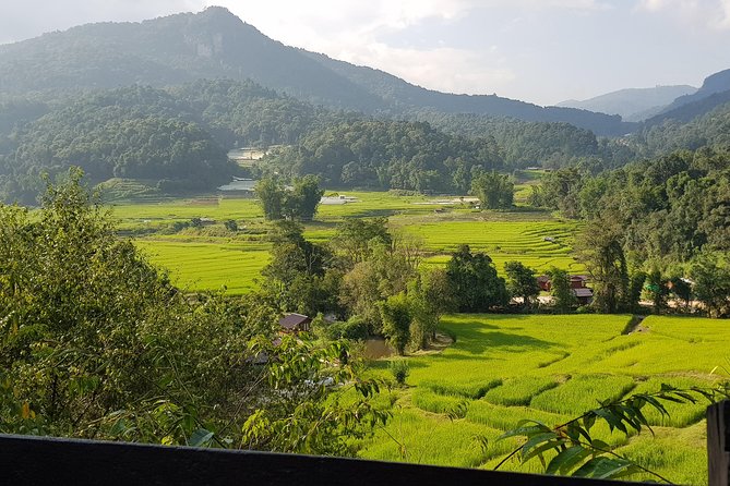 Doi inthanon National Park + 2Hour Fantastic Trekking with Lunch - Lunch that does the job well