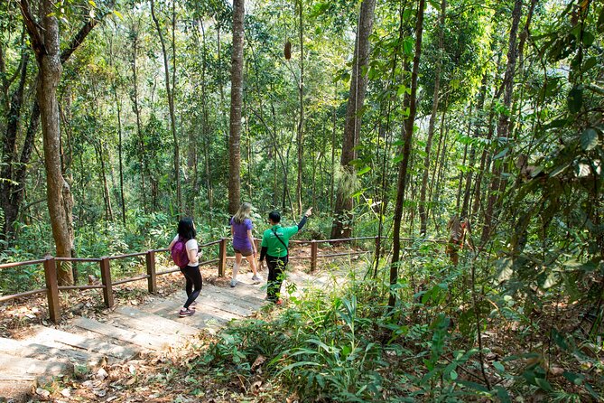 Doi Inthanon National Park Eco-Friendly Full Day Tour - The Twin Royal Stupas and their gardens