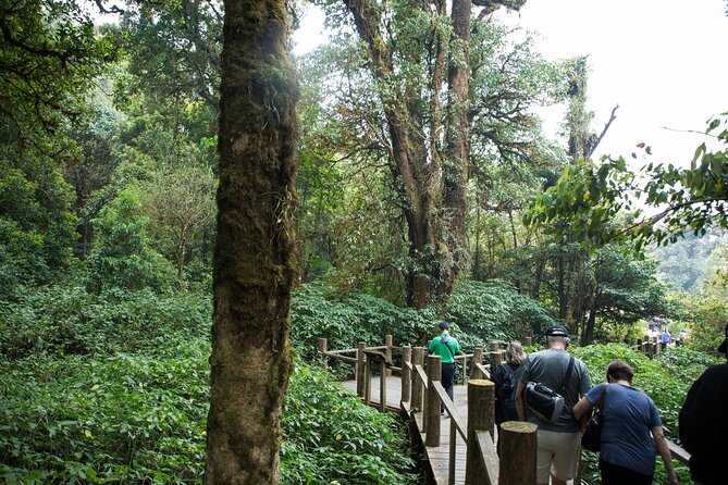 Doi Inthanon National Park Eco-Friendly Full Day Tour - The rush of Wachirathan Falls