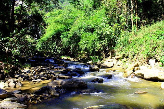 Doi Inthanon National Park, Waterfall & Royal Project Day Tour From Chiang Mai - Sirithan Falls offers a quieter forest stop