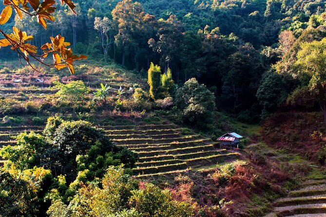 Doi Inthanon National Park, Waterfall & Royal Project Day Tour From Chiang Mai - The King and Queen Pagodas need proper clothes
