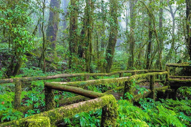 Doi Inthanon National Park, Waterfall & Royal Project Day Tour From Chiang Mai - Reaching Thailand’s highest point