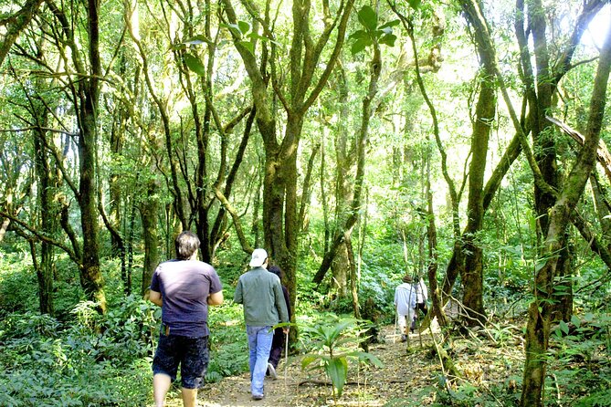 Doi Inthanon National Park, Waterfall & Royal Project Day Tour From Chiang Mai - Leaving Chiang Mai for the Roof of Thailand