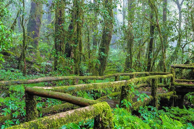 Doi Inthanon Waterfall and Royal Project Chiang Mai - Thailand’s highest point is more symbolic than scenic