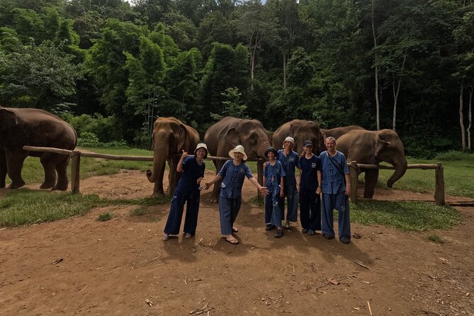 Elephant care program at CHIANGMAI ELEPHANT CARE - What the $52 price includes