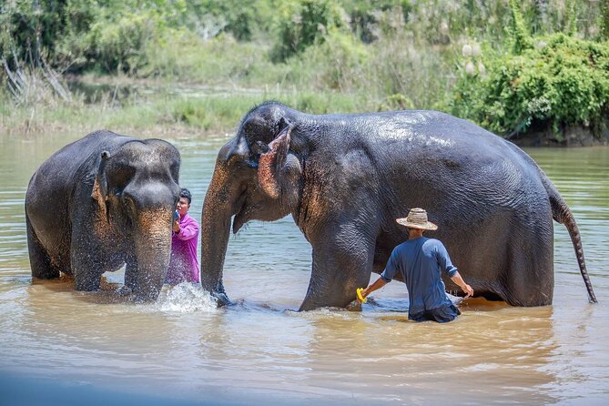Elephant Sanctuary Small Group Tour in Phuket - What lunch and refreshments add to the day