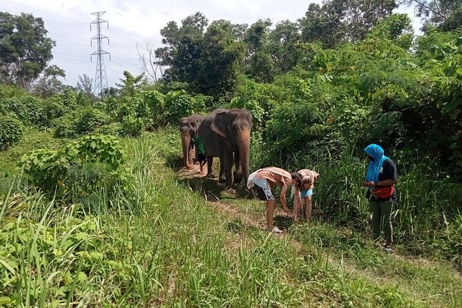 Elephant Sanctuary Small Group Tour in Phuket - Is $97.83 a fair price?