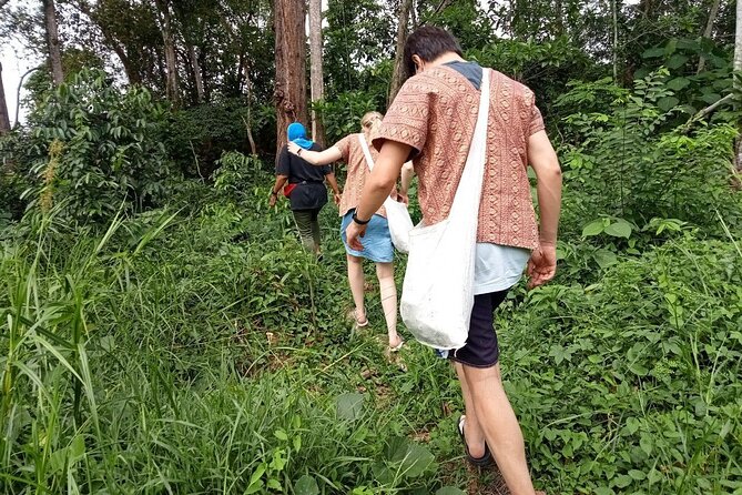 Elephant Sanctuary Small Group Tour in Phuket - The four-hour visit, from pickup to farewell