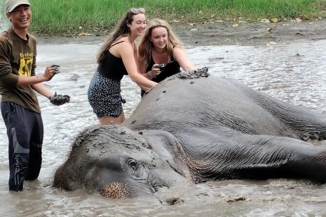 Erawan Waterfall and Elephant care from Bangkok -Private Tour - Walking the seven levels of Erawan Waterfall