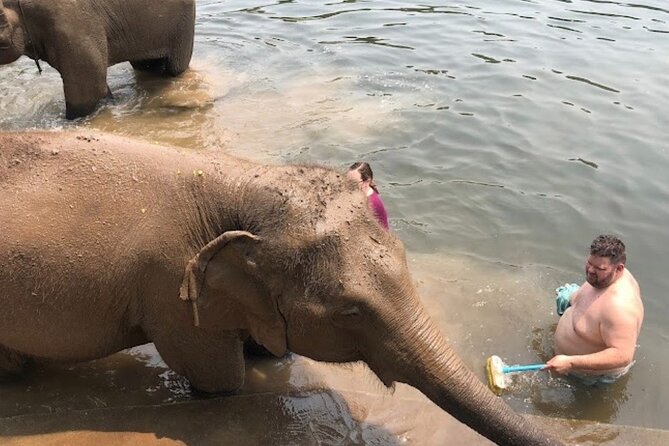 Erawan Waterfall and Elephant care from Bangkok -Private Tour - What the $203.28 price includes