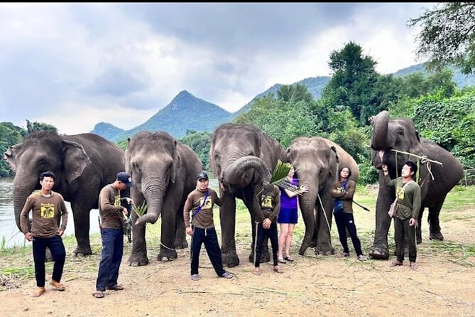 Erawan Waterfall and Elephant care from Bangkok -Private Tour - Who should book this experience