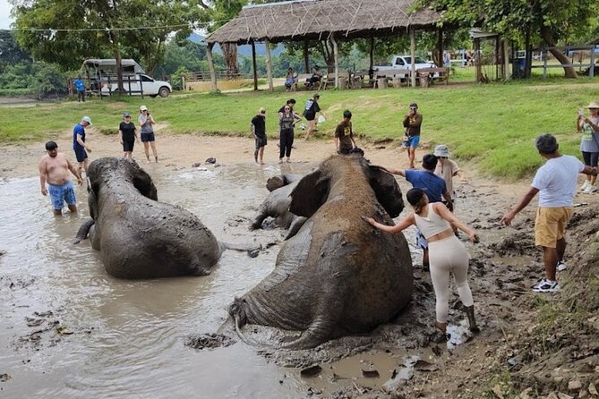 Erawan Waterfall and Elephant care from Bangkok -Private Tour - Booking details worth knowing