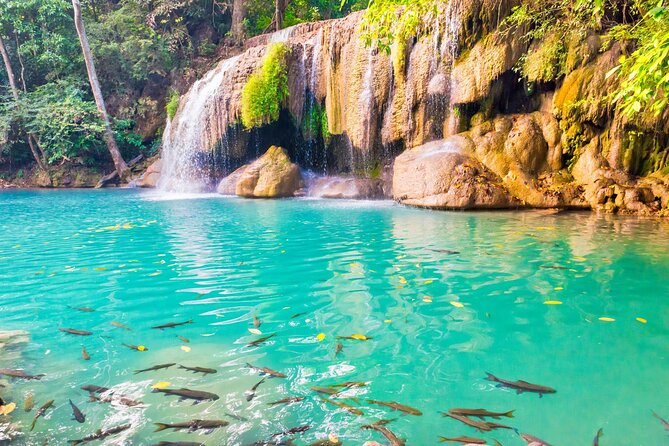 Erawan Waterfall and Elephant Care: Private Tour to Kanchanabur - The long drive from Bangkok