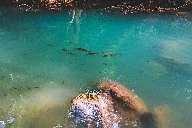 Erawan Waterfall and Elephant Care: Private Tour to Kanchanabur - Erawan Waterfall: three hours in seven pools
