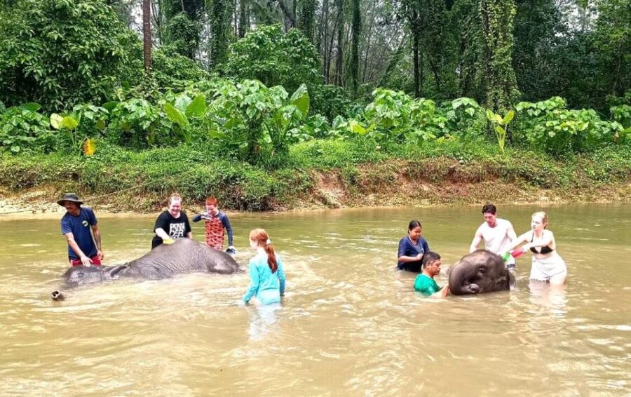 Ethical Elephant Sanctuary Experience in Khao Lak - Key points at a glance