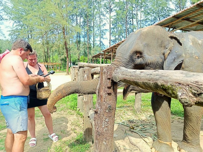 Ethical Elephant Sanctuary Experience in Khao Lak - What the $56 price really covers