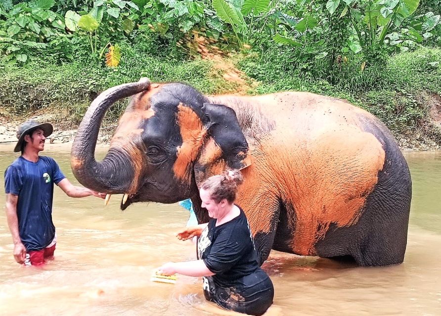 Ethical Elephant Sanctuary Experience in Khao Lak - Why this Khao Lak elephant visit feels different