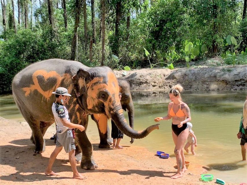 Ethical Elephant Sanctuary Experience in Khao Lak - First lessons, then the elephants