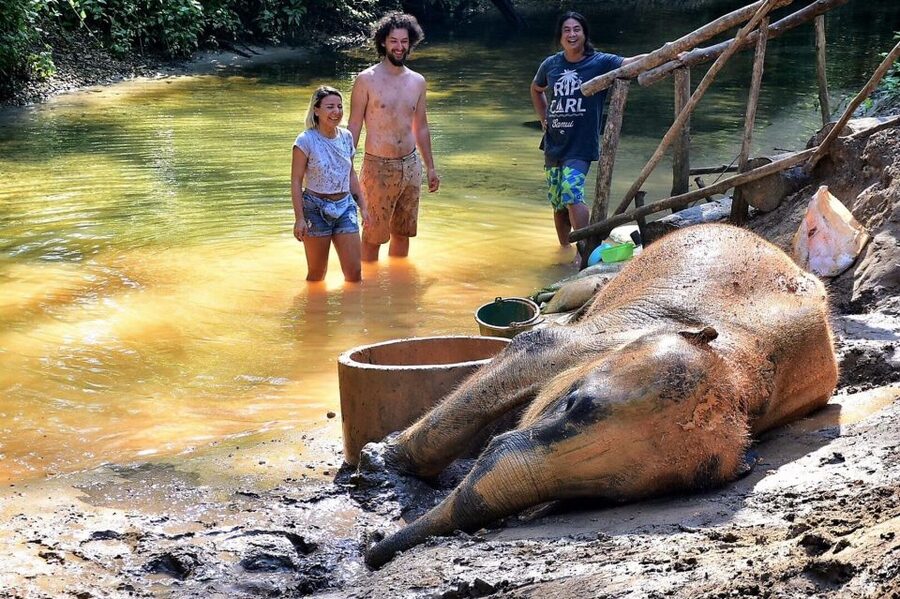 Ethical Elephant Sanctuary Experience in Khao Lak - Following the guided observation walk